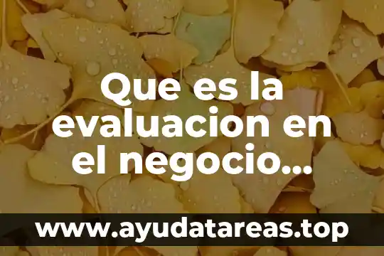 Que es el campo de negocio 6 Que es la evaluacion en el negocio electronico