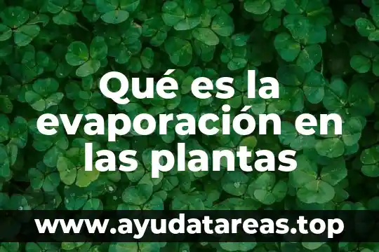 Qué es un síntoma y un signo en plantas 6 Qué es la evaporación en las plantas