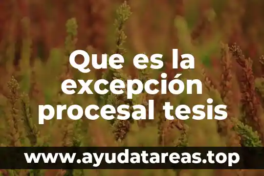Que es el principio de definitividad procesal 6 Que es la excepción procesal tesis