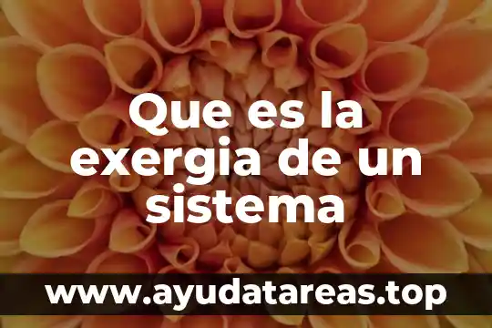 Que es la exergia de un sistema
