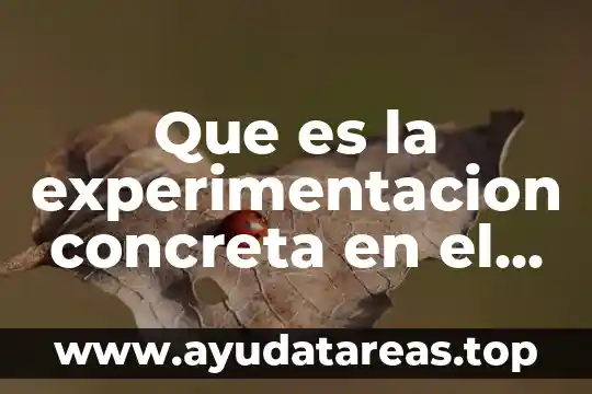 Que es y como diseñar situaciones de aprendizaje 7 Que es la experimentacion concreta en el aprendizaje