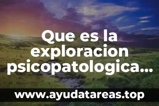 Que es la exploracion psicopatologica en el marco forense