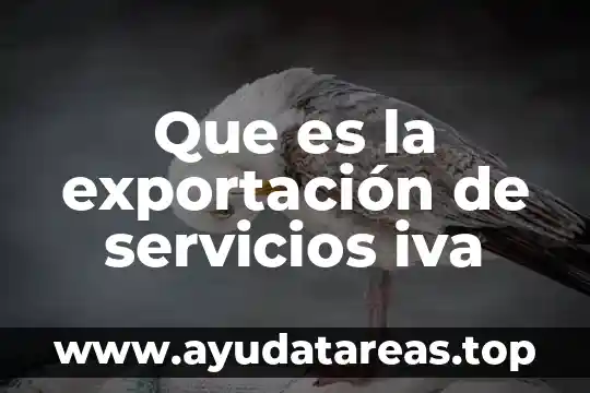 Que es la estrategia de internacionalizacion servicios 7 Que es la exportación de servicios iva