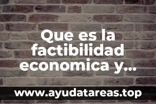 Que es la factibilidad economica y financiera