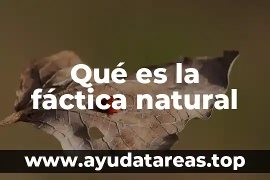 Qué es la fáctica natural
