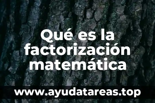 Qué es la factorización matemática