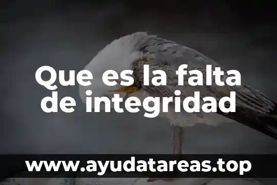 Qué es principio de integridad 6 Que es la falta de integridad