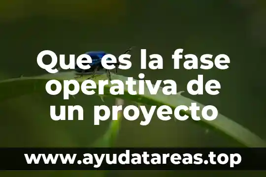 Qué es alcance de un proyecto definición 6 Que es la fase operativa de un proyecto