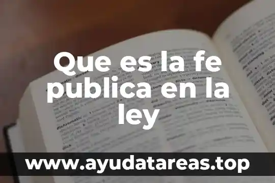 Que es la fe publica en la ley