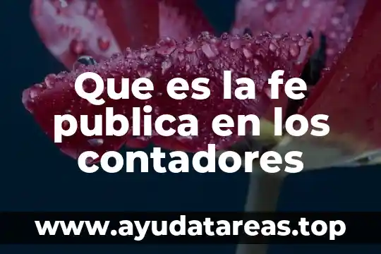 Que es la fe publica en los contadores