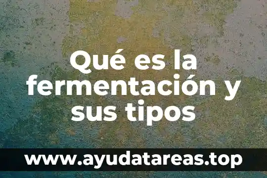 Que es tipos de errores en excel 6 Qué es la fermentación y sus tipos