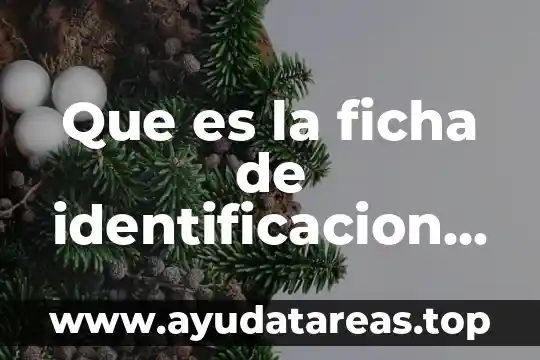 Qué es un símbolo personal 7 Que es la ficha de identificacion personal