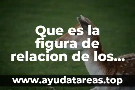Que es un tecnica para grupos 4 Que es la figura de relacion de los grupos urbanos