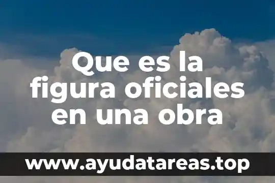 Figura para anunciar que es baño de hombre 3 Que es la figura oficiales en una obra
