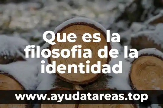 Que es la filosofia de la identidad