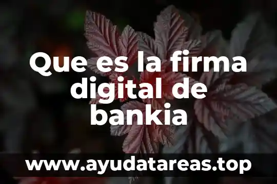 Para que sirve la firma electronica y que es 3 Que es la firma digital de bankia
