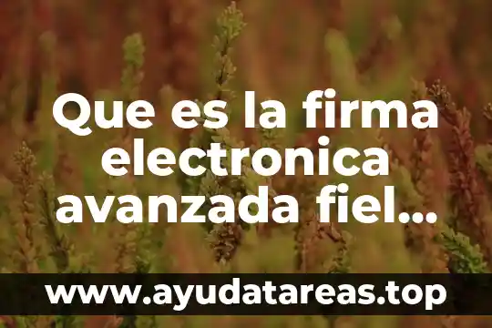 Que es la firma electronica de una empresa 7 Que es la firma electronica avanzada fiel como se renuevan