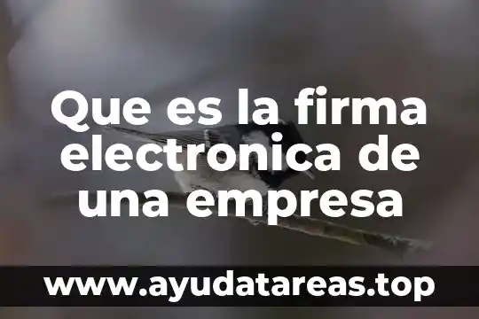 Que es firma digital bankia 8 Que es la firma electronica de una empresa