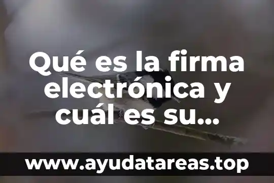 Que es la firma electronica de una empresa 4 Qué es la firma electrónica y cuál es su legislación