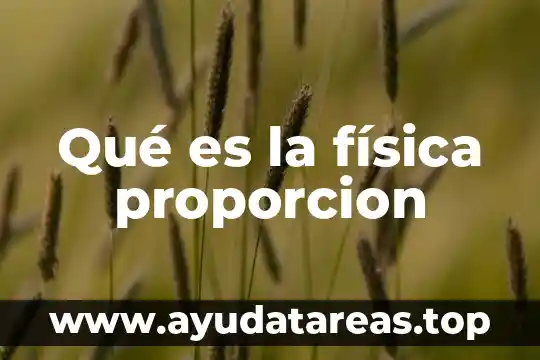 Qué es proporción filosofía 5 Qué es la física proporcion