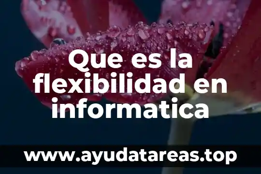 Qué es una nubes informática y tipos de nubes 5 Que es la flexibilidad en informatica
