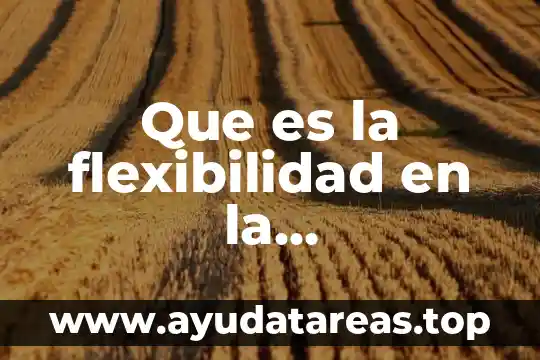 Que es la administracion de instituciones 6 Que es la flexibilidad en la administracion