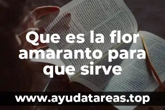 Diagrama de carnot que es y para que sirve 3 Que es la flor amaranto para que sirve