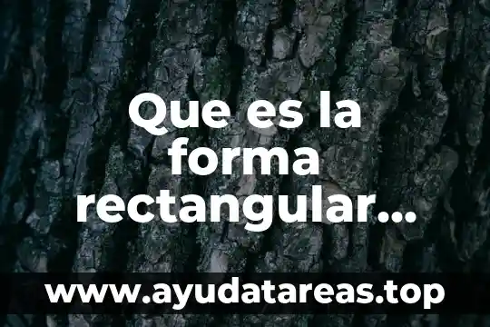 Que es un cohete casero de agua 6 Que es la forma rectangular concepto