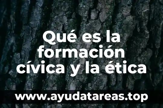 Qué es la formación cívica y la ética