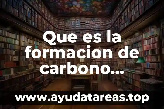 Que es ml en números cuánticos 3 Que es la formacion de carbono quimica