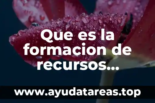 Escudo de la asociación de los derechos humanos que es 5 Que es la formacion de recursos humanos