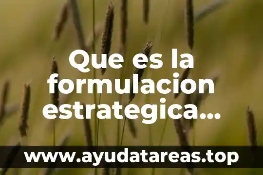 Que es la formulacion estrategica segun autores
