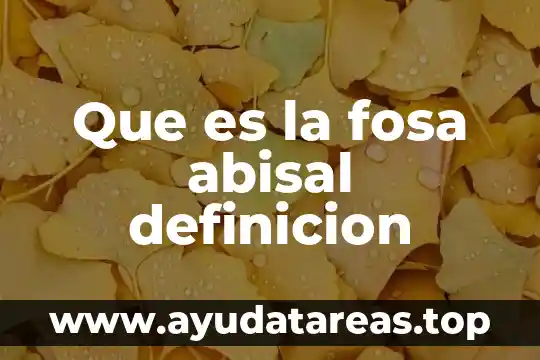 Que es fosa significado 4 Que es la fosa abisal definicion