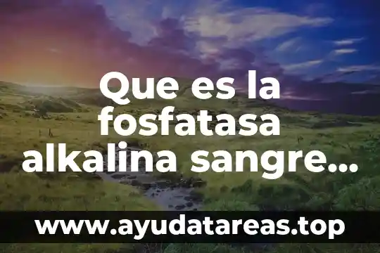 Que es la fosfatasa alkalina sangre funcion