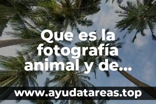 Que es un laboratorio de bromatologia animal 5 Que es la fotografía animal y de mascotas