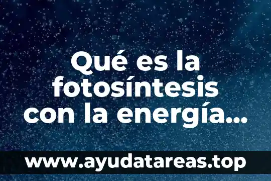 Que es un energia yahoo 8 Qué es la fotosíntesis con la energía solar