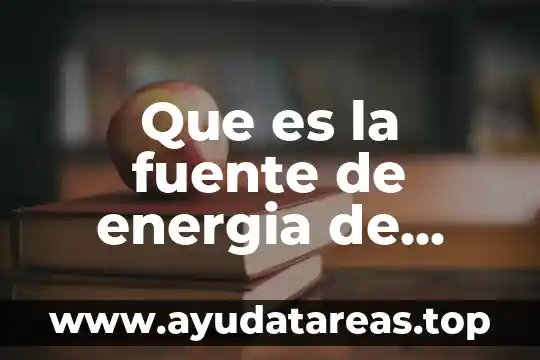 Que es la energia biomasa y comose transforma 6 Que es la fuente de energia de biomasa