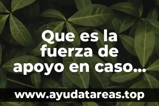 Que es la fuerza de apoyo en caso de desastre