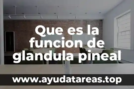 Que es un función explicita 7 Que es la funcion de glandula pineal