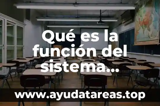 Hierliedimia que es y funcion tipos y sintomas 7 Qué es la función del sistema digestivo