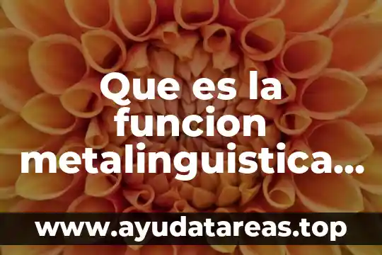 Que es un función explicita 3 Que es la funcion metalinguistica y ejemplos