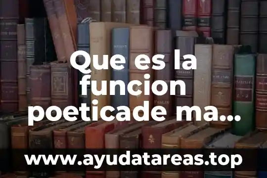 Que es la funcion poeticade ma lengua