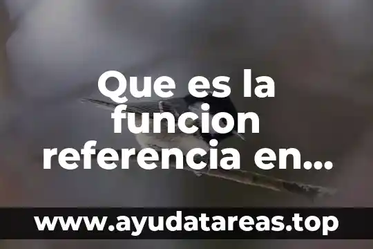 Que es la funcion referencia en el lenguaje