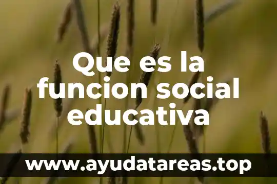 Que es la evaluacion educativa y los tipos de evaluacion 4 Que es la funcion social educativa