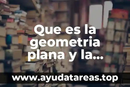 Que es la geometria plana y la geometria