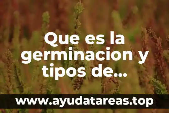 Que es monarquia tipos 5 Que es la germinacion y tipos de germinacion