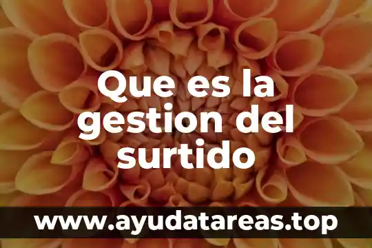 Que es la gestion del surtido
