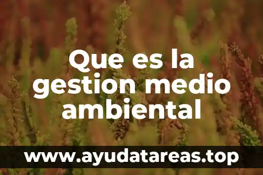 Que es la gestion medio ambiental