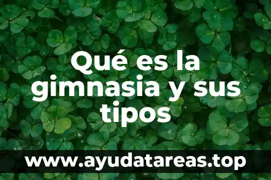 Qué es un navegador y los tipos de navegadores 4 Qué es la gimnasia y sus tipos