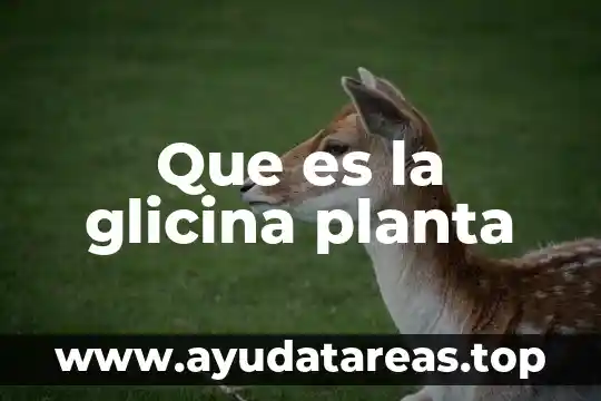 Que es el dimensionamiento de planta 3 Que es la glicina planta